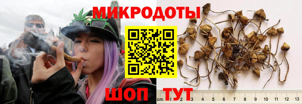 Галлюциногенные грибы мицелий  Вход с VPN  Муром 